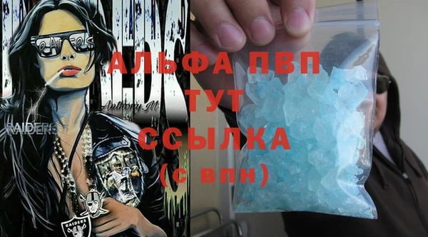 стаф Аркадак