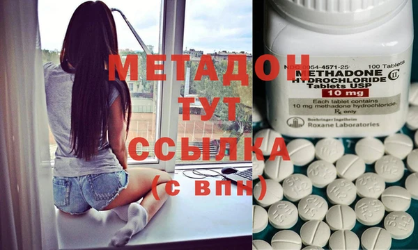 стаф Аркадак