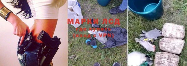стаф Аркадак