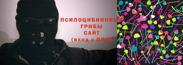 дмт Алексин