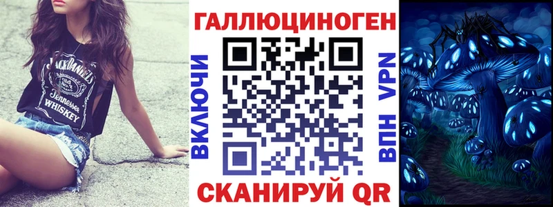 OMG   Шатура  Псилоцибиновые грибы мицелий  где найти  